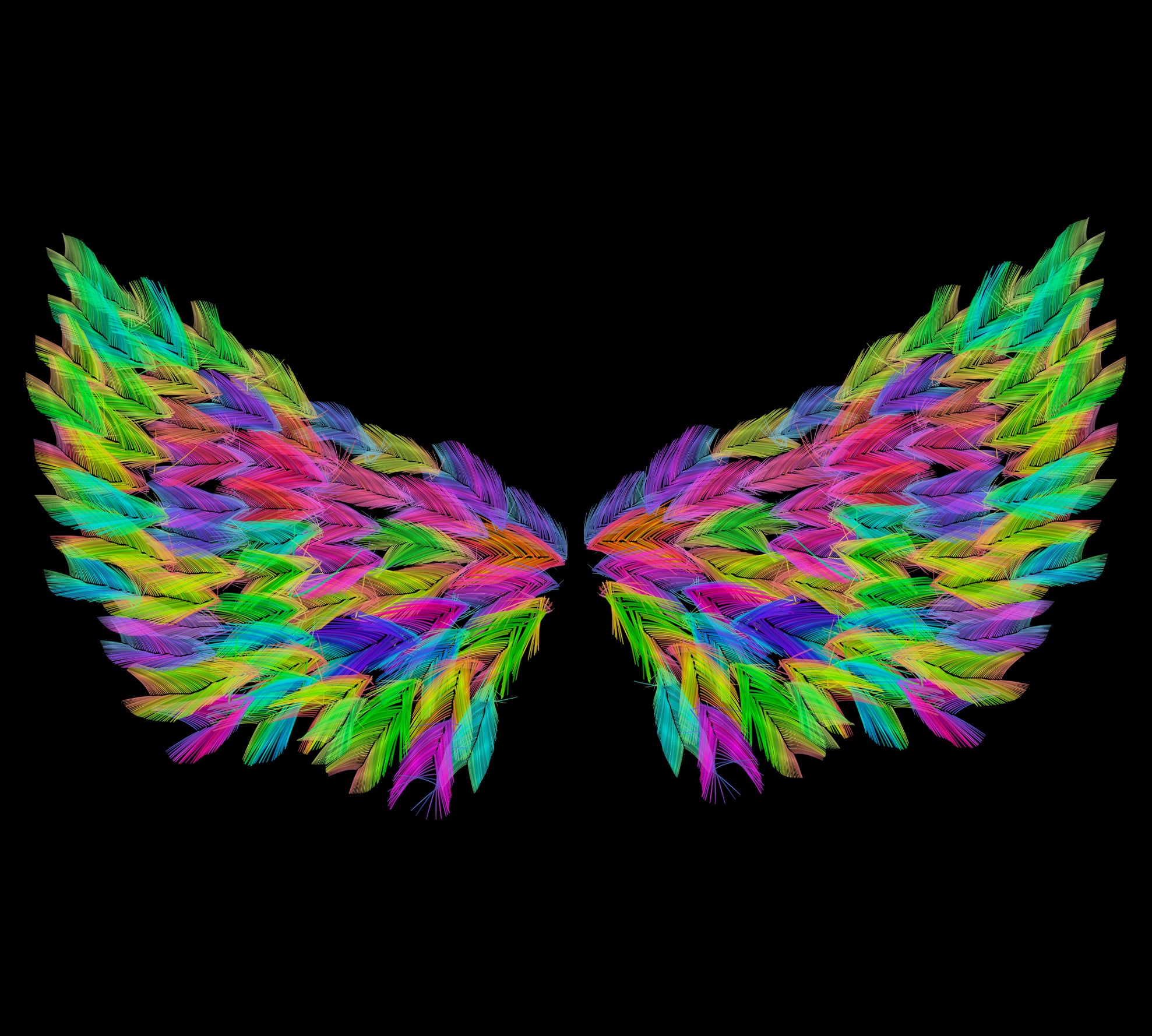 feathers procreate brush