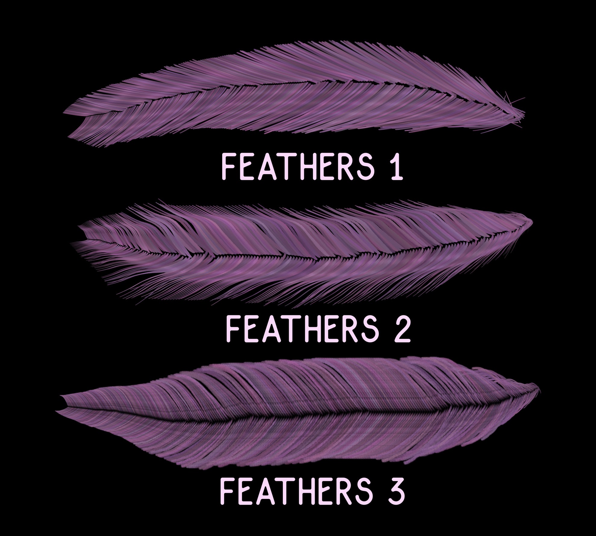 Feathers Brush Set